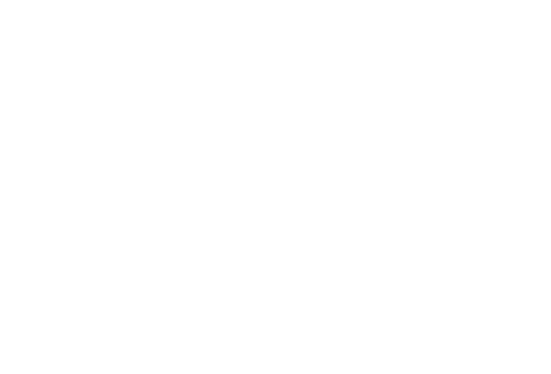 Orion Soft