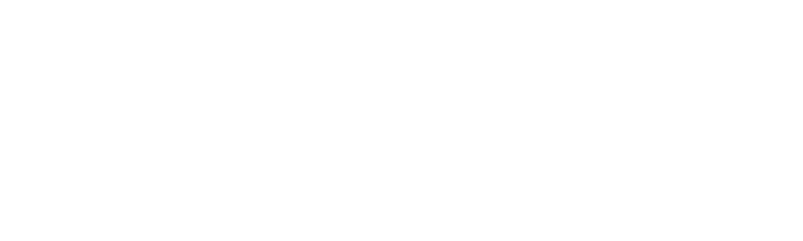 Twin