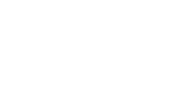 Мидийное место