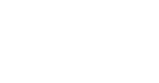 LAU Company