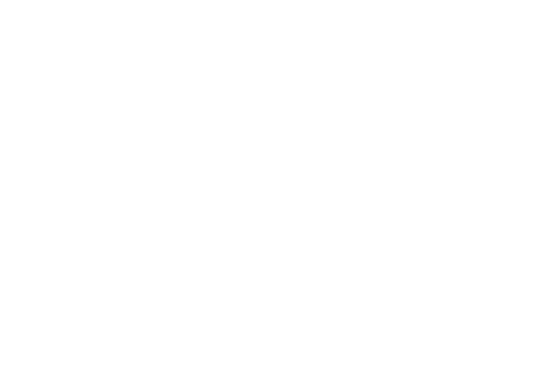 Паспортно-визовый сервис МВД России