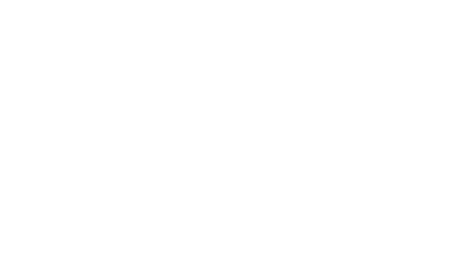 Lidea