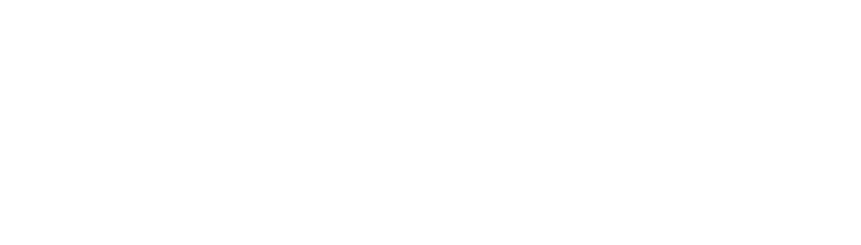 R-Style Softlab